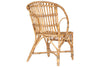 Ajaya Rattan Dining Chair