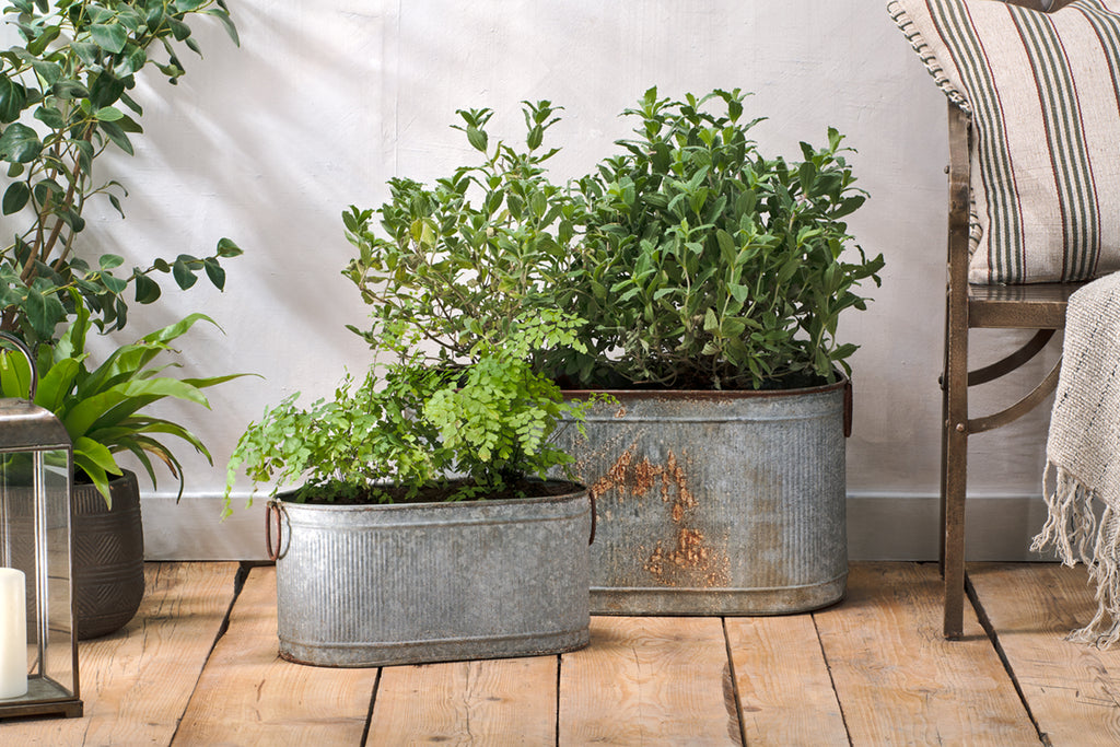 Akasa Trough Planter - Zinc-nkuku