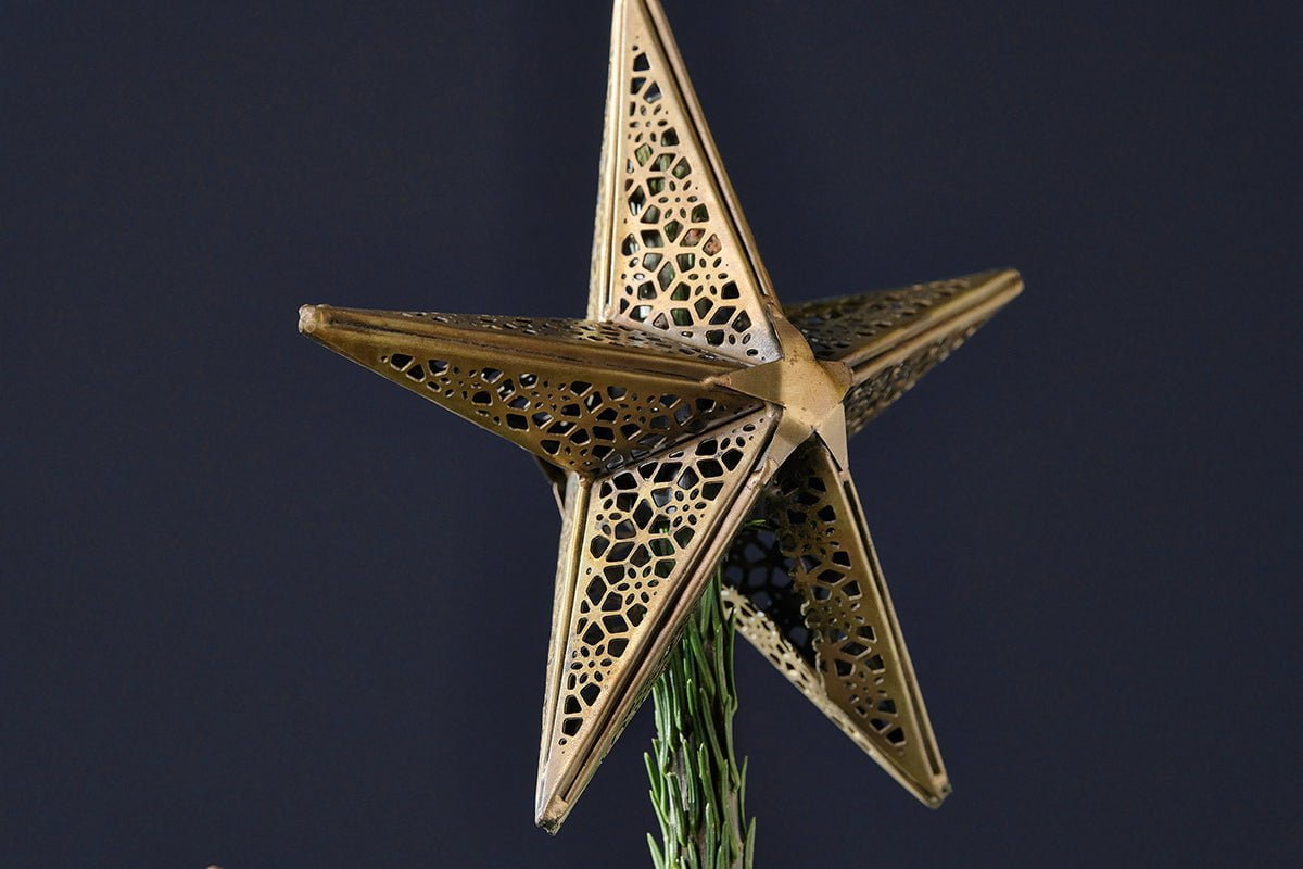 Bishakha Star Tree Topper-nkuku