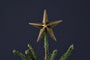 Bishakha Star Tree Topper-nkuku