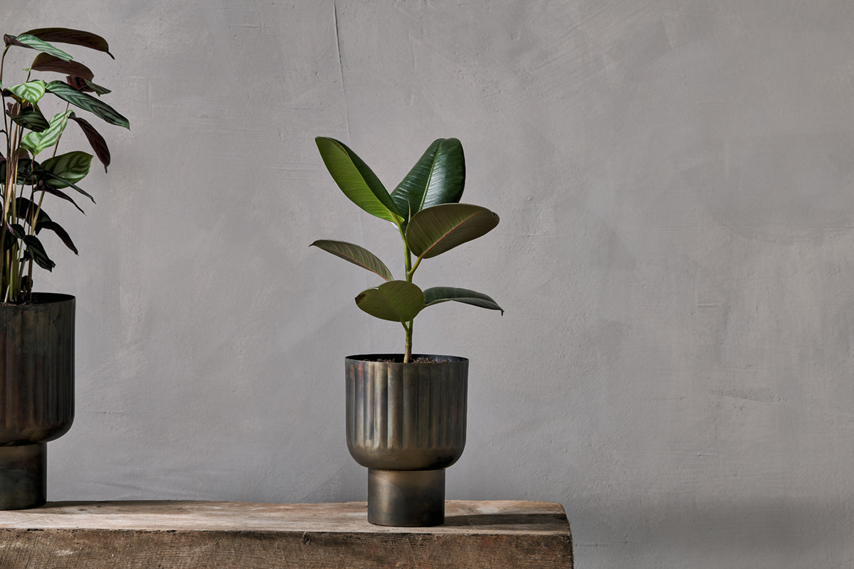 Dasalla Planter - Aged Brass