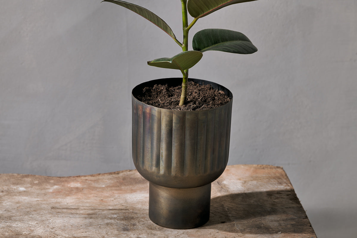 Dasalla Planter - Aged Brass