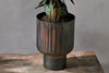 Dasalla Planter - Aged Brass