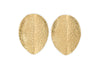 Darshana Earrings - Gold-nkuku