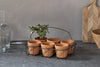 Dilipa Terracotta Multi Planter - Terracotta-nkuku