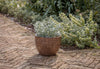 Dunai Terracotta Planter - Brown-nkuku