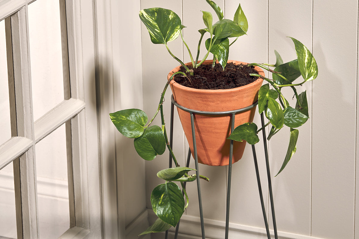 Jara Terracotta Planter With Stand