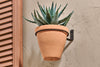 Jara Single Wall Hung Planter