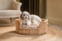 nkuku PET Jaiyuh Hemp Pet Bed
 - Natural - Medium