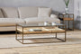 Luzon Iron & Mango Wood Display Coffee Table - Brass