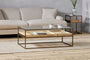 Luzon Iron & Mango Wood Display Coffee Table - Brass- nkuku