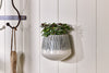 Matamba Ceramic Wall Hung Planter - Black Lines