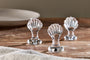 Nela Shell Placename Holders - Clear (Set of 4)