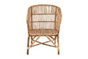 Nesari Rattan Armchair- nkuku