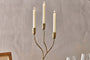 Palani Candelabra - Antique Brass - Small