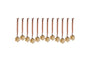 Sardi Star Baubles - Gold (Set of 12)-nkuku