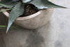 Affiti Clay Planter - Medium-nkuku