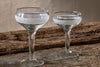 Anara Etched Champagne Glass - Clear (Set of 4)-nkuku