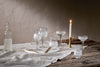 Anara Etched Champagne Glass - Clear (Set of 4)-nkuku