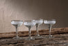 Anara Etched Champagne Glass - Clear (Set of 4)-nkuku