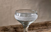 Anara Etched Cocktail Glass - Clear (Set of 4)-nkuku