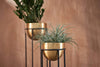 Atsu Brass Planter Stand-nkuku