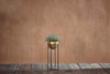 Atsu Brass Planter Stand-nkuku