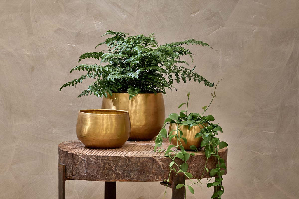 Atsu Brass Planter-nkuku