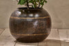 Endo Reclaimed Iron Globe Planter-nkuku