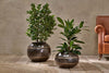 Endo Reclaimed Iron Globe Planter-nkuku