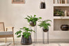 Endo Reclaimed Iron Hanging Planter-nkuku