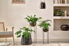 Endo Reclaimed Iron Planter Stand-nkuku