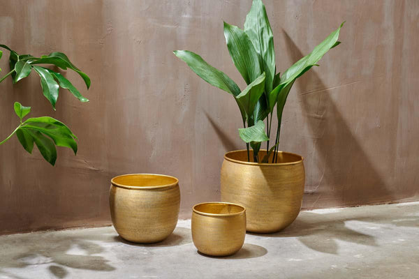 Tembesi Etched Planter - Antique Brass-nkuku