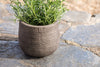 Zadie Etched Ceramic Planter - Grey - Small-nkuku