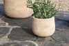 Zadie Etched Ceramic Planter - Neutral - Small-nkuku