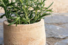 Zadie Etched Ceramic Planter - Neutral - Small-nkuku