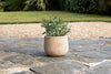 Zadie Etched Ceramic Planter - Neutral - Small-nkuku