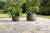 Zadie Etched Ceramic Planters - Grey - (Set of 2)-nkuku