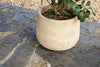 Zadie Etched Ceramic Planters - Neutral - (Set of 2)-nkuku