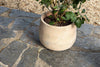 Zadie Etched Ceramic Planters - Neutral - (Set of 2)-nkuku