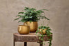 Nkuku VASES & PLANTERS Atsu Brass Planter