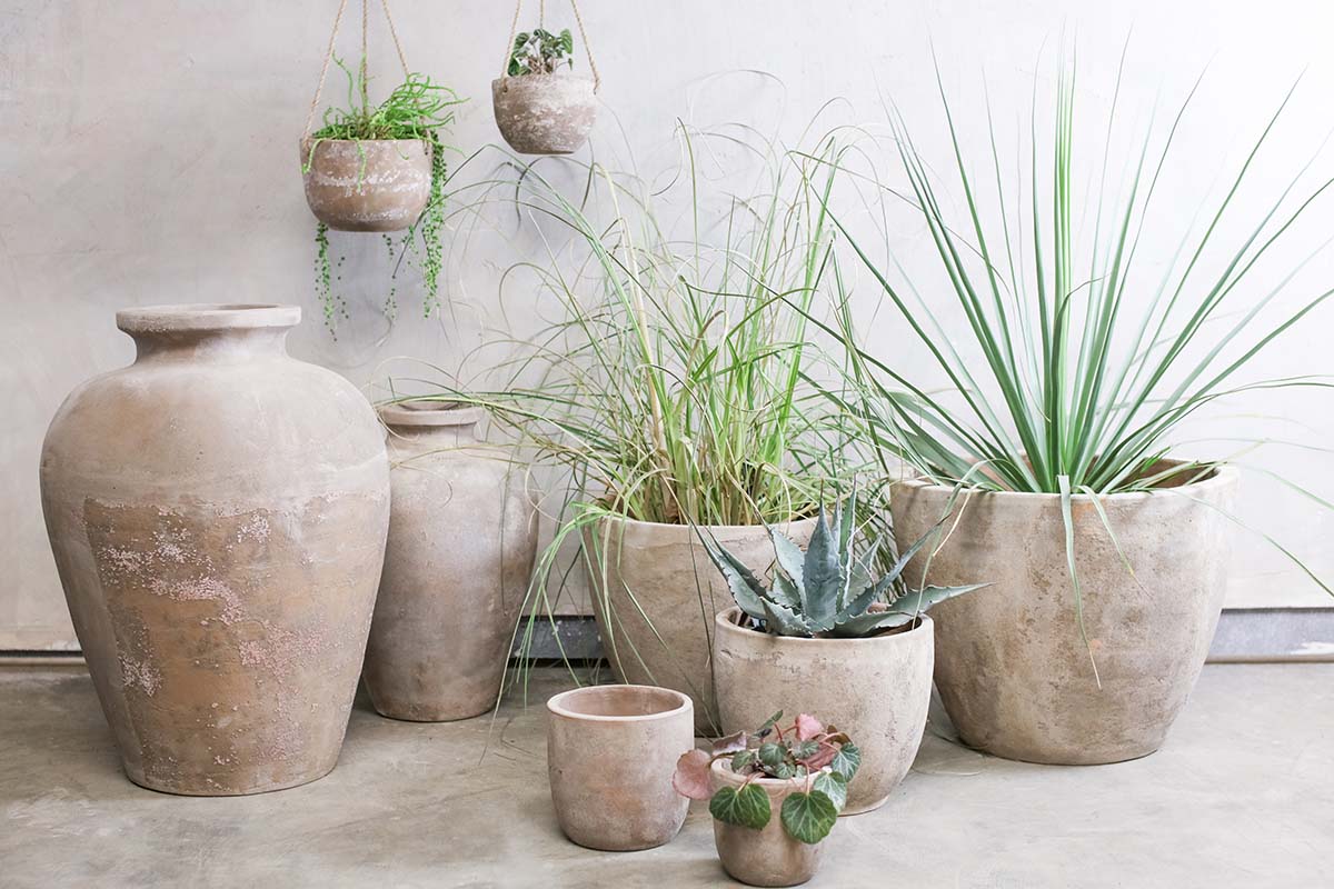 Nkuku VASES & PLANTERS Large Affiti Clay Tapered Pot