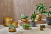 Nkuku Vases & Planters Tembesi Etched Planter - Antique Brass