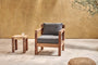 test TEST - Jaisalmer Reclaimed Wood Armchair